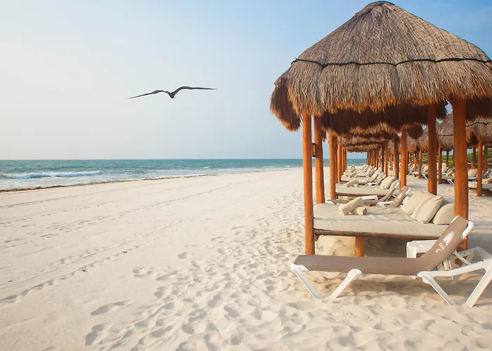 Resort Valentin Imperial Riviera Maya - Adults Only Playa Paraiso